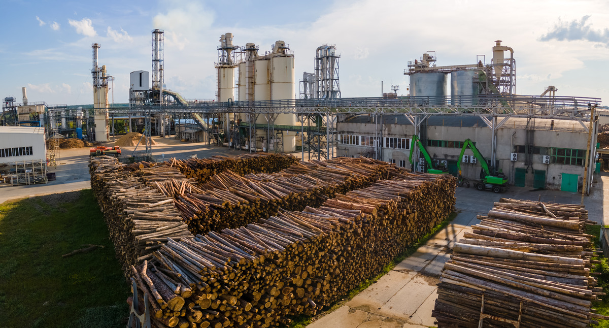 The Pulp and Paper Industry